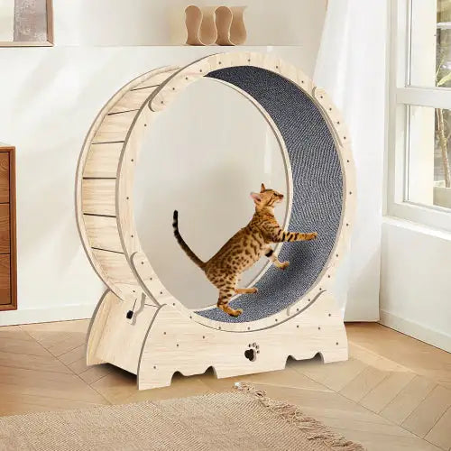 Whisker Wellness Cat Treadwheel