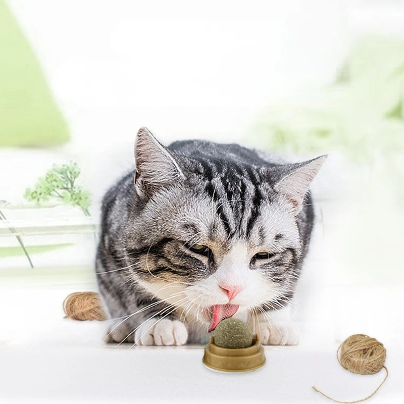 1 Pc Natural Catnip Cat Wall Stick-on Ball Toy Treats Healthy Natural Removes Hair Balls To Promote Digestion Cat Grass Snack