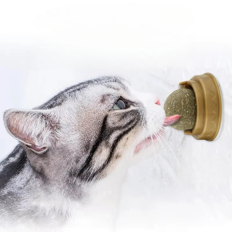 1 Pc Natural Catnip Cat Wall Stick-on Ball Toy Treats Healthy Natural Removes Hair Balls To Promote Digestion Cat Grass Snack