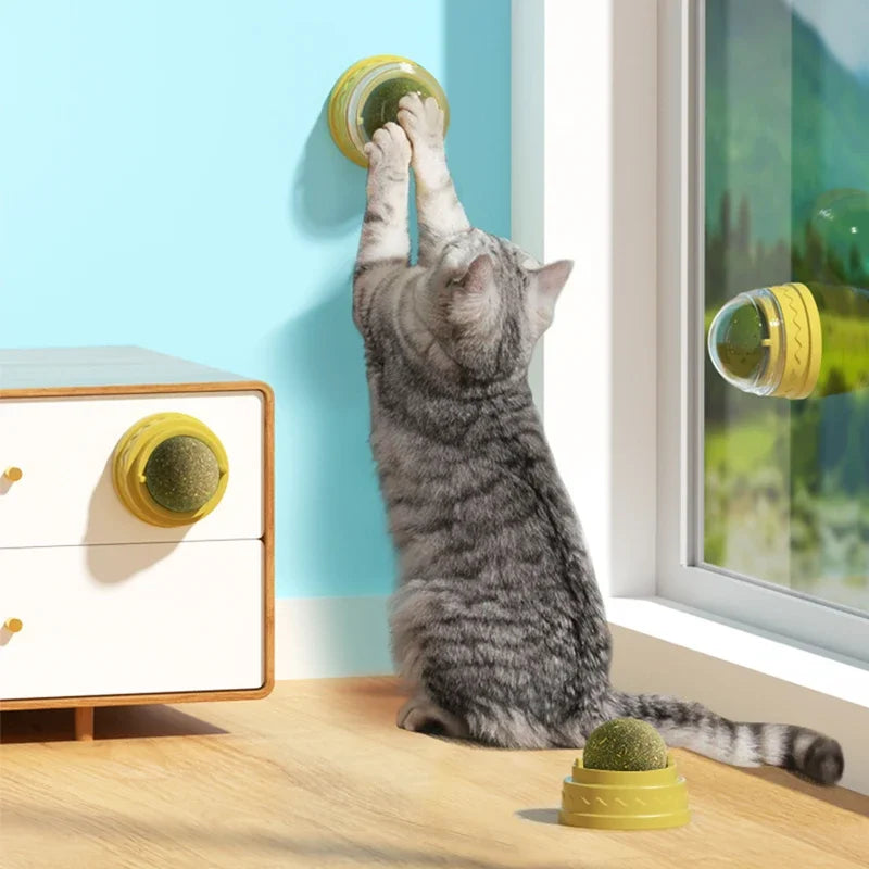 1 Pc Natural Catnip Cat Wall Stick-on Ball Toy Treats Healthy Natural Removes Hair Balls To Promote Digestion Cat Grass Snack