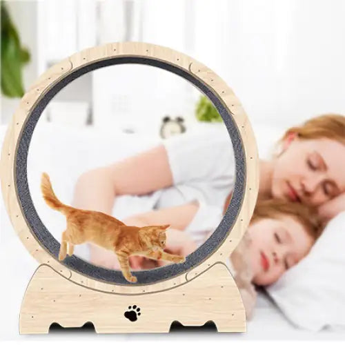 Whisker Wellness Cat Treadwheel